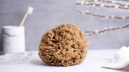 Real sea sponge on a bathroom surface with skincare / personal care items and a plant in the background.