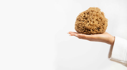 Image of sponge resting in palm of hand against a light great background.skincare treatment when you shower with a natural sponge