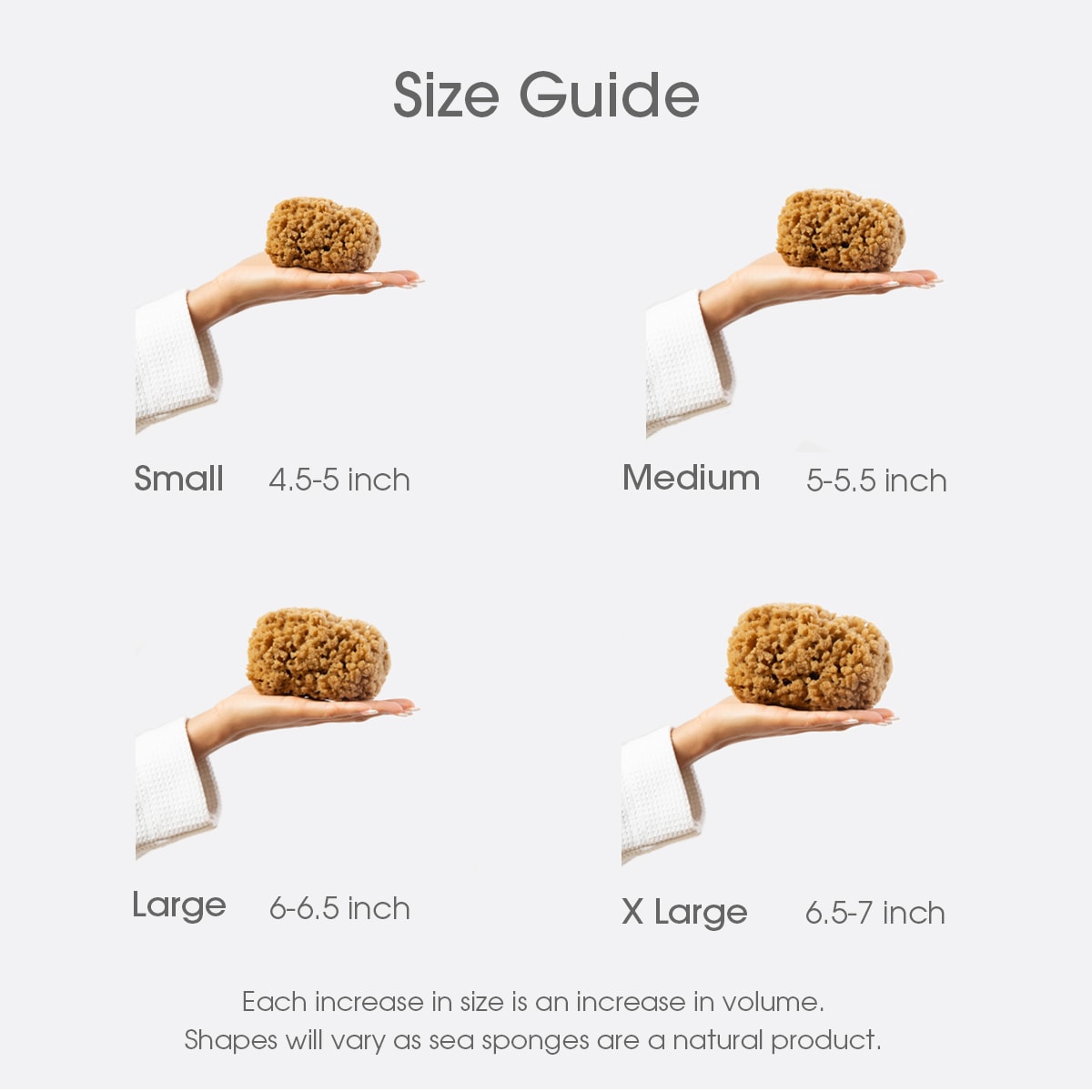 Naroa natural sea sponge size guide with small, medium, large, x large