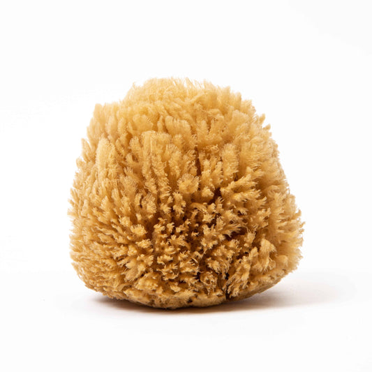 Naroa exfoliate sponge on a white background