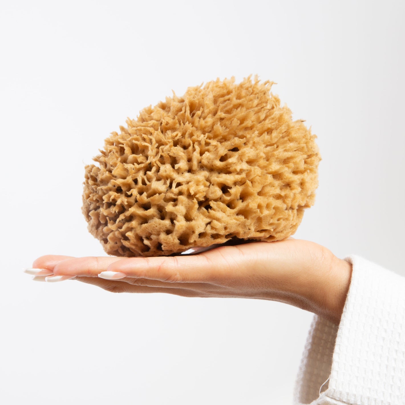 Natural Naroa soothe bath sponge held in hand light brown colour with thick hair like fibres circular in shape