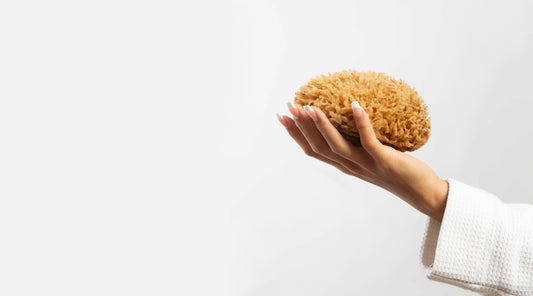 Image of natural sea bath sponge being held by model with only hand and sleeve showing on white grey background.