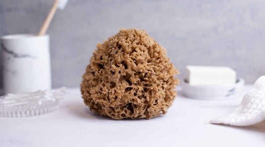 Natural brown sea sponge with towel, toothbrush and soap in the background.
