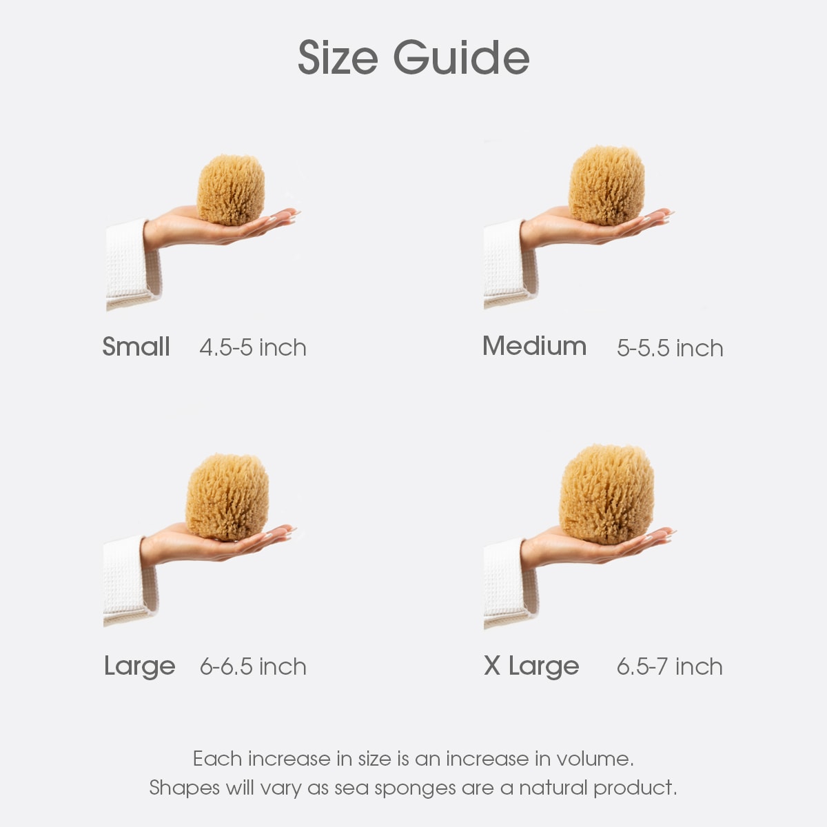 Size guide for naroa exfoliate sponges showing small, medium, large and x large shownig the differences in size with each sponge in a hand