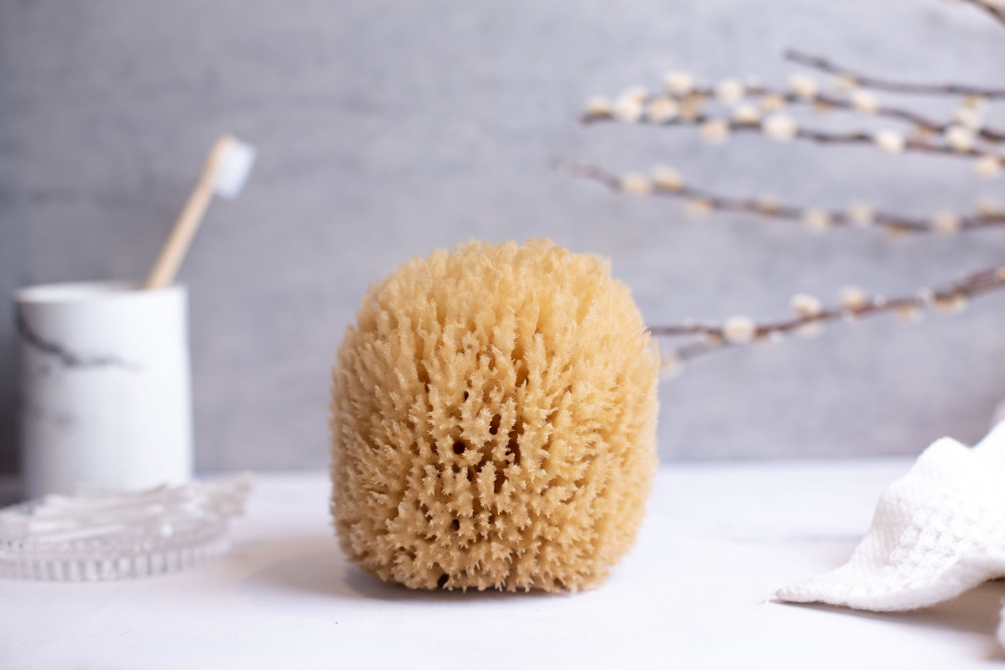 Naroa natural sponge on a bathroom table with plant, towel and toothbrush in the background