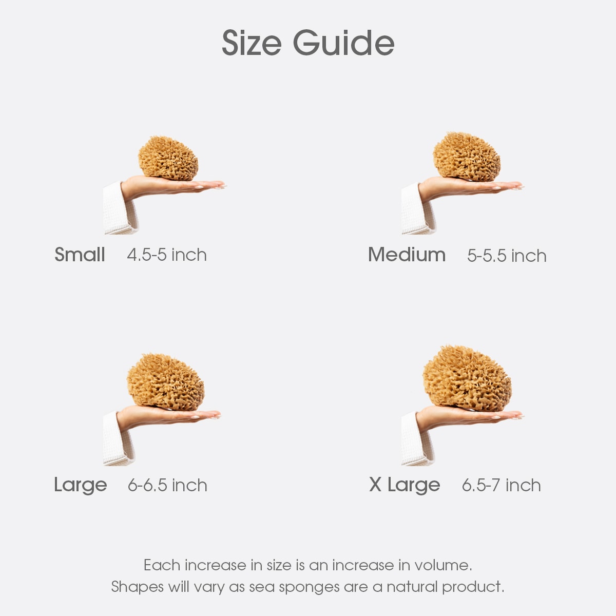 Naroa natural sea sponge soothe size guide showing small, medium, large, x large and the sponge in hands showing the difference in size of all